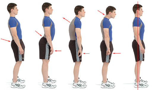 “Form Follows Function” Wolff’s Law & The NST Approach for Treating Pathologies